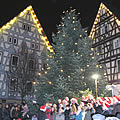 2014 4.Advent beim Weihnachtsbaum